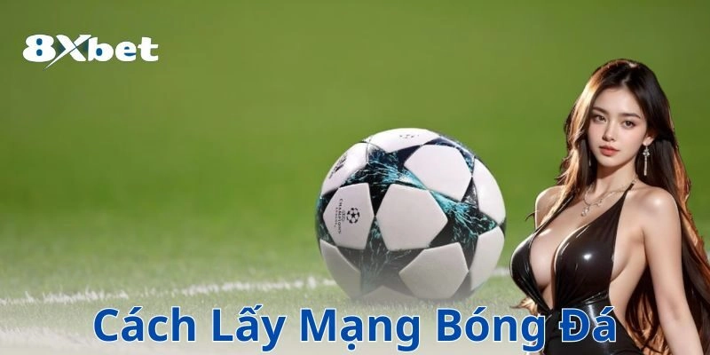 8xbet cach lay mang bong da