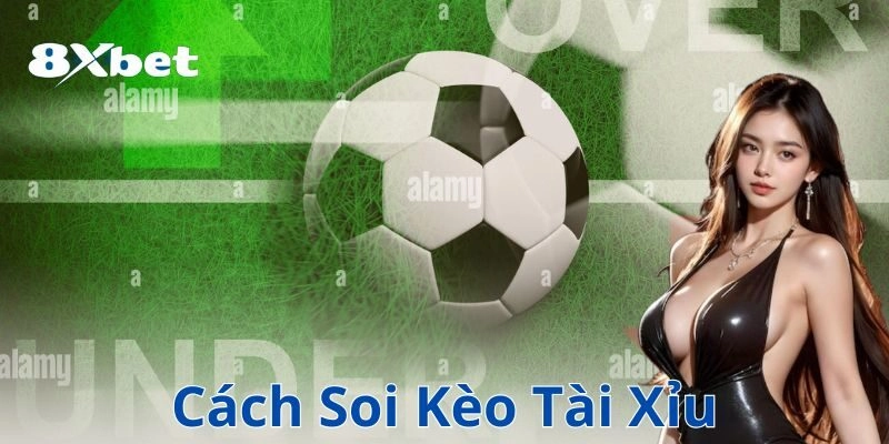8xbet cach soi keo tai