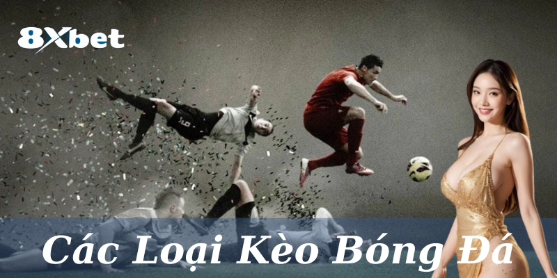 Các Loại Kèo Bóng Đá: Phân loại, cách chơi và 3 mẹo thắng 2 Những loại kèo cơ bản cho newbie